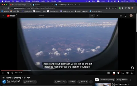 787 Engineering, Flying Peace