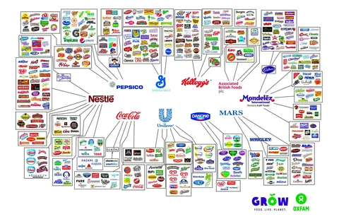 This image is an infographic chart illustrating the ownership of various food and beverage brands by major corporations. The chart is organized around central logos of prominent companies such as PepsiCo, Nestlé, Coca-Cola, Unilever, Danone, Mars, Mondelez International, General Mills, Kellogg's, and Associated British Foods plc. Each logo serves as a hub with lines connecting to numerous brand logos, indicating their ownership.
The brands are depicted in small, colorful logos surrounding the larger corporate logos, showcasing a wide variety of products ranging from snacks and beverages to cereals and dairy products. The overall design is busy and dense, emphasizing the extensive reach and influence of these corporations in the global food and beverage market. The color scheme is vibrant, with each brand maintaining its unique logo colors, contrasting with the white background. Notably, the bottom right corner features the logos of the GROW Campaign and Oxfam, suggesting a focus on food sustainability or corporate social responsibility.