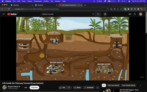 The image is an illustrated cross-section depicting various sections of the Vietcong tunnels used during the Vietnam War. The illustration is vibrant and colorful, with earthy tones representing the underground environment. Above ground, there is lush greenery with trees and plants, indicating a jungle setting. The underground section is divided into labeled areas: "Sleeping Quarters," depicting bunk beds; "Spider Holes," showing people emerging from small concealed openings; "Underground Kitchen," with a person preparing food; "Military Hospital," where individuals are shown on beds and one person appears to be pedaling a bicycle-powered device; and "Weapons Factory," where two people are working with equipment.
The composition is educational, providing insight into the different functions of the tunnel system. The illustration style is simple yet detailed, capturing the resourcefulness of the tunnel network. The YouTube interface is visible, showing the video title "Life Inside the Vietcong Tunnels (Cross Section)" by the channel "Simple History."
- Title: "Life Inside the Vietcong Tunnels (Cross Section)"
- Channel / profile: "Simple History"
- Site / app: "YouTube"