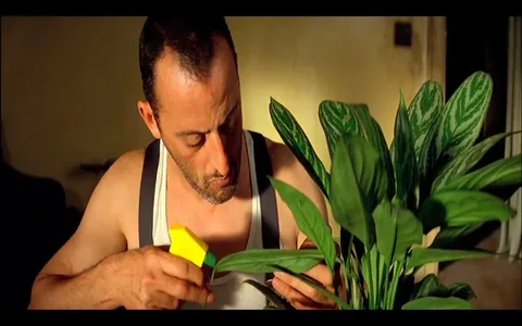 In this image, a man, identified as Jean Reno's character from the movie "Léon: The Professional," is carefully tending to a plant. He is dressed in a casual white tank top with dark straps, suggesting a relaxed, intimate setting. His expression is focused and gentle as he uses a small spray bottle to mist the plant, highlighting his meticulous care and attention to detail. The room is dimly lit, with warm, muted tones that create a serene and contemplative atmosphere. The plant, prominently in the foreground, has large, lush green leaves with distinctive patterns, drawing attention to the character’s nurturing side. The composition centers on the interaction between the man and the plant, emphasizing themes of solitude and connection.