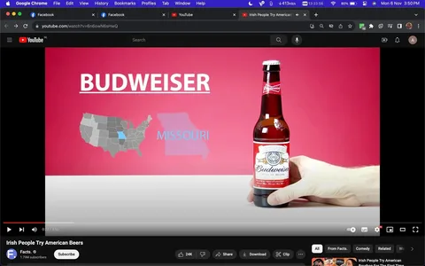 The screenshot is from a YouTube video titled "Irish People Try American Beers," found on the channel "Facts." The image prominently features a Budweiser beer bottle, held by a hand on the right side, against a striking red background. The branding on the bottle is clearly visible, showcasing Budweiser's distinctive red label and the phrase "KING OF BEERS" on it.
On the left side, the text "BUDWEISER" is displayed in bold white letters. Below it, there is a map of the United States with Missouri highlighted, alongside the word "MISSOURI" in bold blue text, indicating the origin of the beer. The composition is clean and focused, with the bottle and text elements well-balanced in the frame. The setting appears to be a studio shot, emphasizing product placement and branding. The overall mood is simple and informative, suitable for a video discussing and sampling American beer.