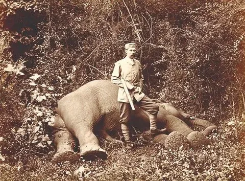 Archduke Franz Ferdinand is depicted in a vintage photograph standing in a forested area. He is dressed in early 20th-century hunting attire, including a hat, coat, and boots, holding a rifle. The setting is dense with foliage, indicating a jungle or forest environment. In the foreground, the large form of a fallen elephant is visible, suggesting a hunting expedition. The image is in sepia tones, typical of photographs from this era, giving it an aged and historical appearance. Archduke Franz Ferdinand stands with one foot on the elephant, displaying a posture of triumph. The expression on his face is serious, as was common in formal photographs of that time. The overall mood is one of gravity and historical significance, capturing a moment that reflects the attitudes and practices of the period.
