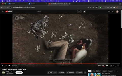 ```
The screenshot shows an animated scene from the YouTube video titled "How We Domesticated Cats (Twice)" on the channel PBS Eons. The image depicts a man with a beard and long hair tied back, lying on his side on the ground. He appears peaceful, surrounded by scattered white flowers, and wears light-colored clothing. Beside him, a gray tabby cat is also lying down, creating a sense of harmony between the human and feline. The scene is earthy, with a natural background of soil and stones, emphasizing the historical context of domestication.
The video's title text is visible at the bottom, and the PBS logo is displayed in the top left corner, ensuring brand visibility. The video player interface shows standard YouTube features, including the like, share, and download buttons, and the viewer is approximately 6 minutes and 37 seconds into the 8-minute and 12-second video. Captions at the bottom provide context about the historical evidence of domestic cats on the island of Cyprus.