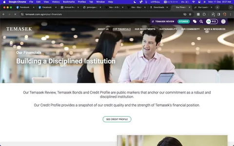 Temasek Discipline, CIA Wall: The Real Cost