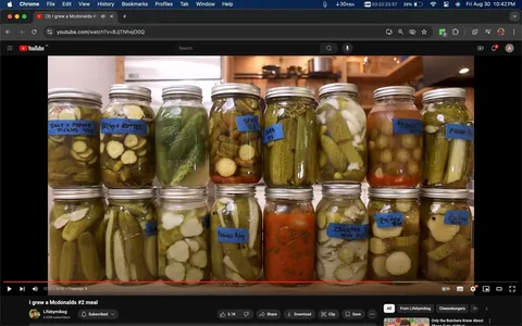 The image captures a scene from a YouTube video titled "I grew a Mcdonalds #2 meal" hosted on the channel Lifebymikeg. In this indoor setting, two rows of mason jars are neatly arranged on a kitchen countertop. Each jar contains a variety of pickled vegetables, showcasing different types of homemade pickles. The jars have blue labels with handwritten descriptions and dates, such as "Salt + Pepper Pickles 7/16," "Blessed + Buttered," and "Kimchi 8/17." The pickles vary in color and type, featuring cucumbers, onions, and other vegetables, some in brine with herbs or spices.
The warm lighting of the kitchen highlights the vibrant colors of the pickles and details of the jars, creating an inviting atmosphere. In the background, various kitchen items such as pots and pans are visible, implying a homey and practical environment. The video seems to focus on food preservation techniques, particularly the art of pickling, as part of a creative culinary project.
- Title: "I grew a Mcdonalds #2 meal"
- Channel / profile: "Lifebymikeg"
- Site / app: "YouTube"