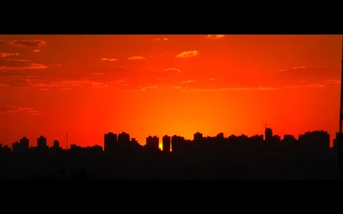 Sunset Loyalty and Talking Heads 'This Must Be the Place'