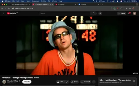 The image captures a scene from the music video for "Teenage Dirtbag" by Wheatus. The focus is on a male singer, who appears to be in a performance setting. He has a somewhat laid-back demeanor, wearing a bright orange shirt with a sporty vibe, featuring a white and red striped collar. His look is completed by a light blue bucket hat and dark sunglasses, giving him a casual, youthful appearance that aligns with the song's themes of teenage angst and unrequited love.

In the background, there are illuminated numbers that suggest a scoreboard, possibly indicating a sports event or a competition. The numbers displayed are "41" and "48," which adds to the atmosphere of a high school or youthful setting, resonating with the song's narrative about teenage experiences.

The singer's expression is one of introspection, as he seems to be lost in the moment, conveying a mix of nostalgia and longing. This emotional depth is a hallmark of the song, which tells a story of feeling out of place and yearning for someone who seems unattainable.

The overall tone of the image is vibrant yet reflective, encapsulating the essence of early 2000s pop culture, where themes of teenage life were often explored in music and media. The combination of the singer's attire, the setting, and the emotional expression creates a vivid snapshot of a moment that resonates with many who have experienced the trials of adolescence.

The branding is subtle, with the YouTube interface visible at the bottom, indicating that this is part of a larger collection of music videos. The channel name "WheatusOfficial" suggests that this is an official upload, adding a layer of authenticity to the viewing experience. The number of views and likes displayed indicates the song's popularity, reflecting its lasting impact since its release.

In summary, this image encapsulates a moment of youthful expression, blending music, emotion, and nostalgia in a way that resonates with many viewers, making it a memorable part of early 2000s music history.