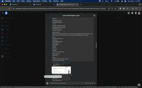 This image is a screenshot of a Facebook page viewed on a desktop browser. The title bar suggests it is from a user named Lehan Edirisinghe. The main focus of the screenshot is a Facebook post dialogue, seemingly a parody or humorous take, mentioning characters like Perkins and FDR interspersed with lyrics-like text referencing Trump. The post includes a humorous reinterpretation of a classic tune with politically themed lyrics. The screen displays a dark mode interface, with the post text in white against a dark background. There are multiple sections with dialogue-style formatting, and it discusses themes like politics with a satirical edge. Below the main text, there is a comment indicating approval, noted with the phrase "That's pretty cool." The interface shows typical Facebook elements such as profile links, reactions, and comment options, contributing to a social media setting.